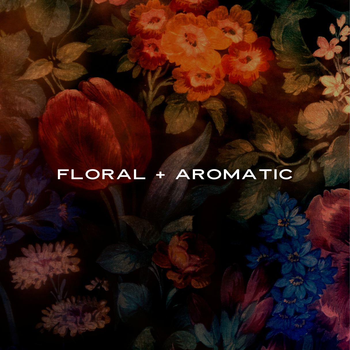 HAUS SCENT FAMILY: FLORAL & AROMATIC