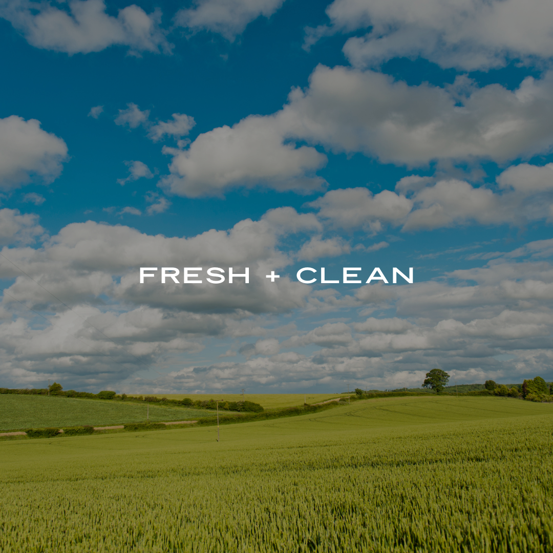 HAUS SCENT FAMILY: CLEAN + FRESH