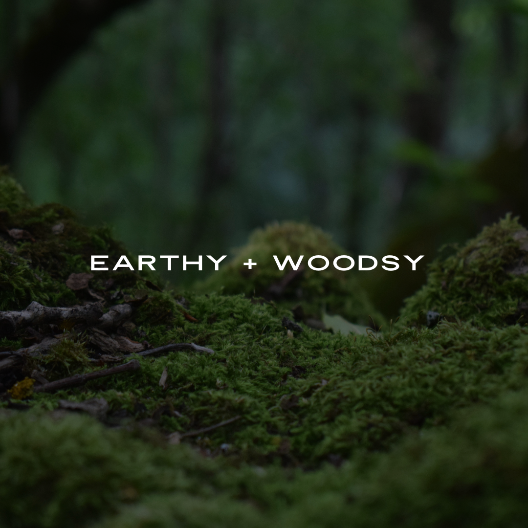 HAUS SCENT FAMILY: WOODSY