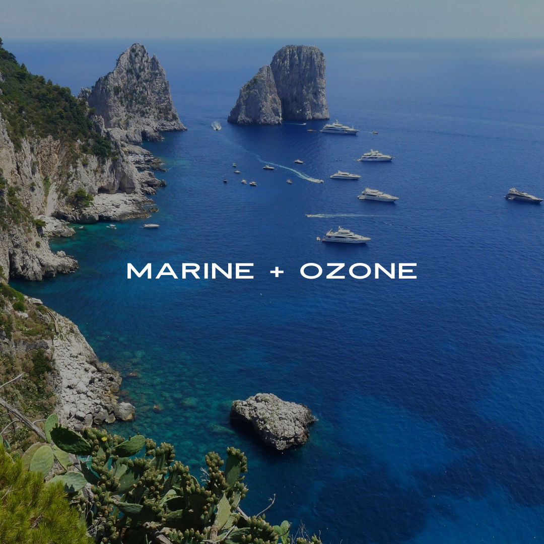 HAUS SCENT FAMILY: MARINE + OZONE