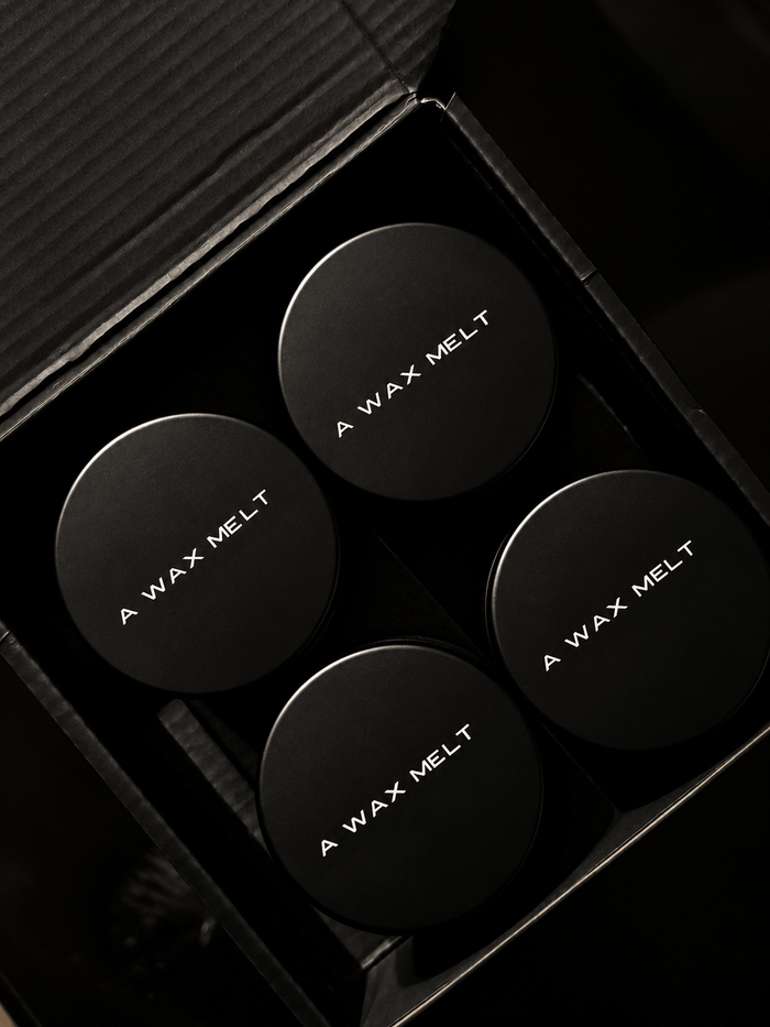 FALL COLLECTION - A WAX MELT SET