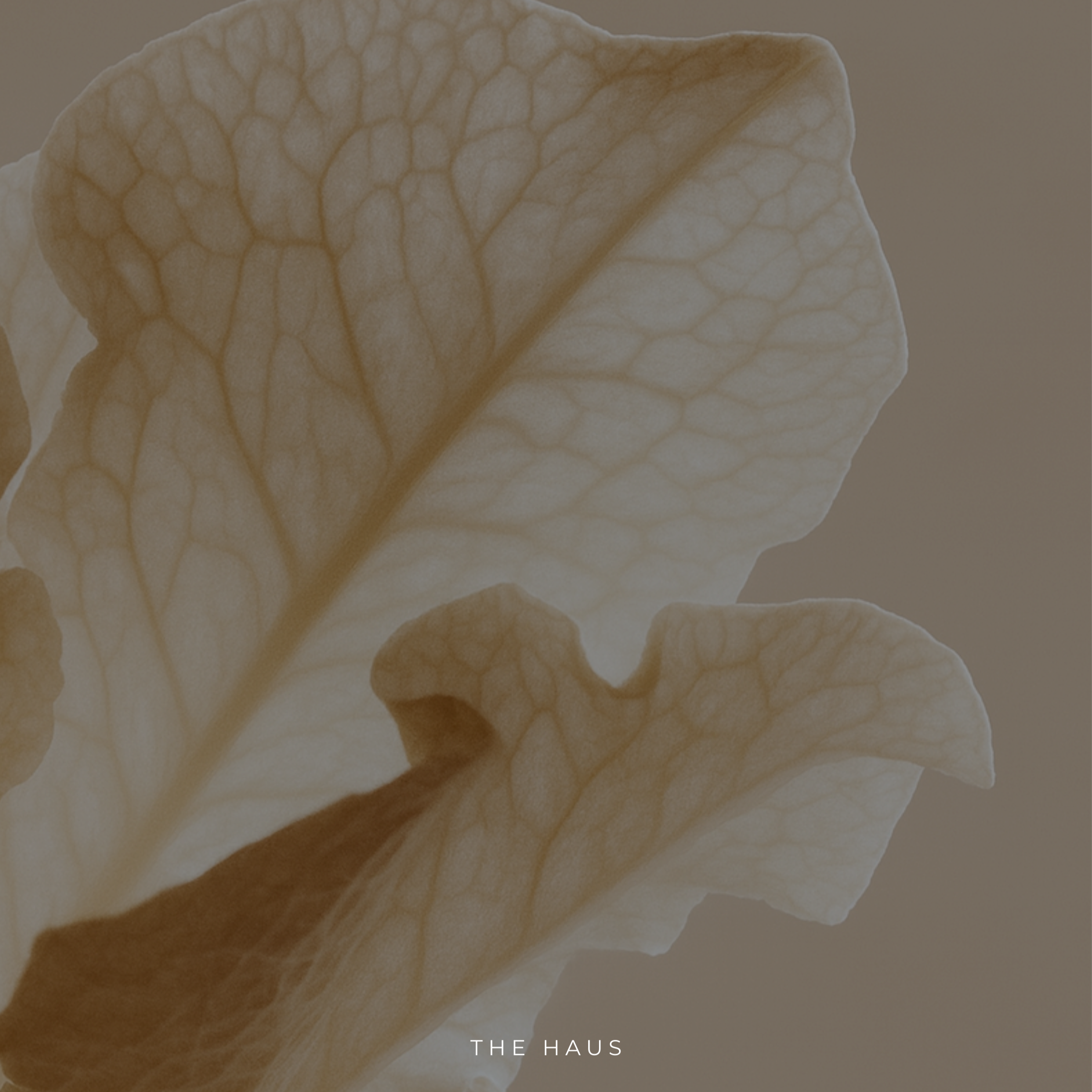 VIRGIN (SCENTLESS)