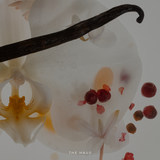 AURA PERFUME TINCTURE
