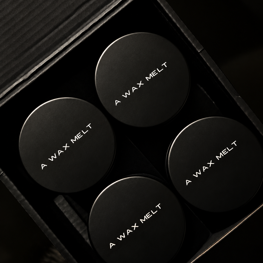HAUS DISCOVERY - A WAX MELT SUBSCRIPTION lifestyle image by Predominantly Black