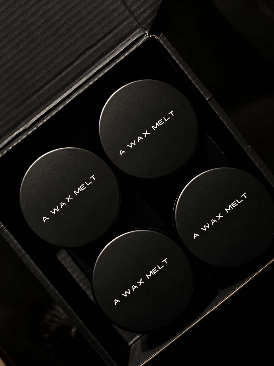 HAUS DISCOVERY - A WAX MELT SUBSCRIPTION lifestyle image by Predominantly Black