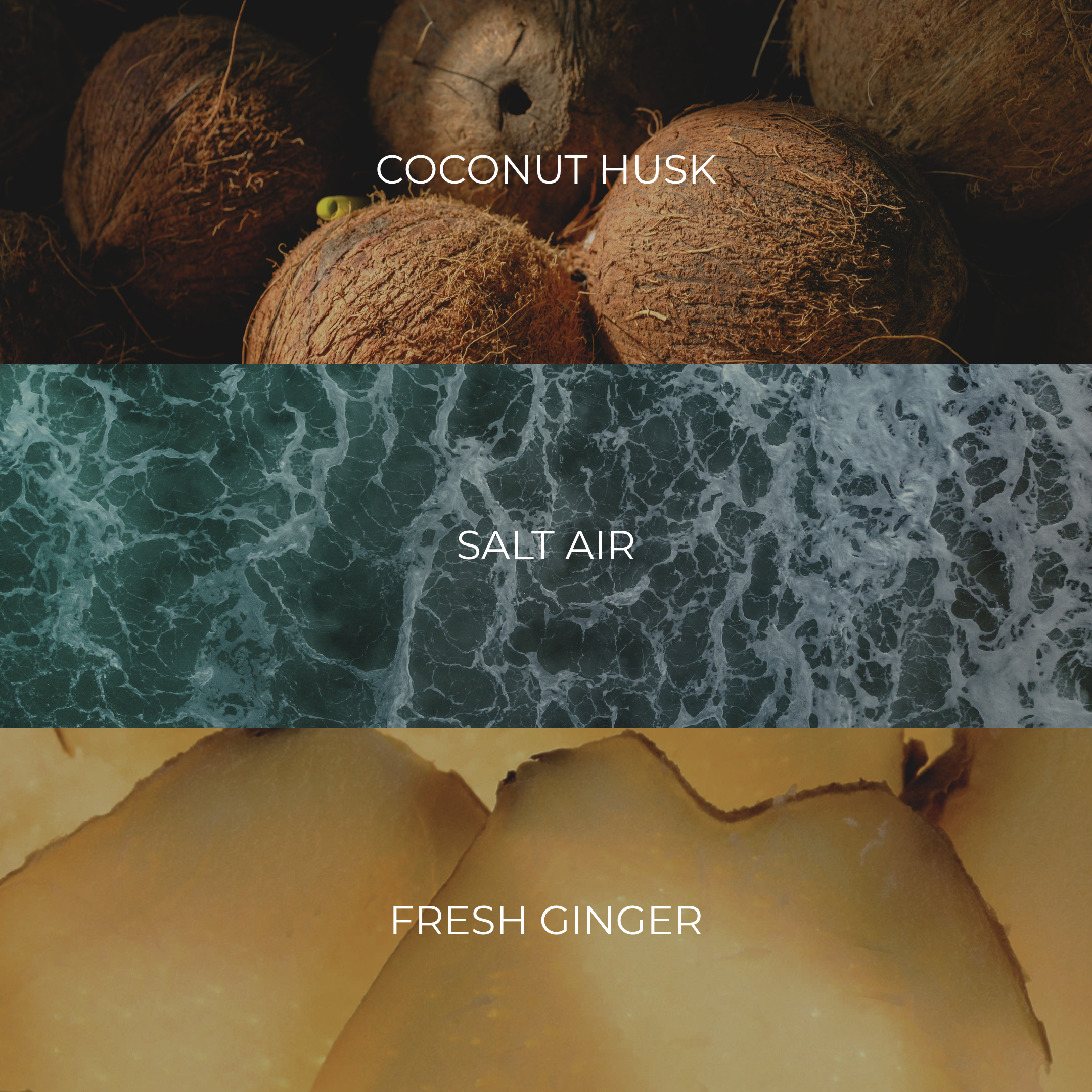 COCONUT HUSK & GINGER - HAUS TO OM