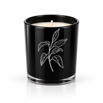 LIBRARY CANDLE — product photograph by Predominantly Black