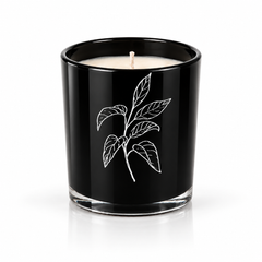 LIBRARY CANDLE — product photograph by Predominantly Black
