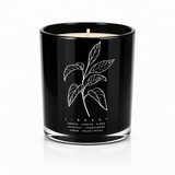 A LIBRARY CANDLE