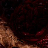 VELOUR ROSE PERFUME TINCTURE
